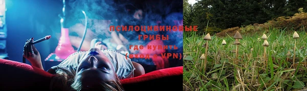 дурь Белоозёрский