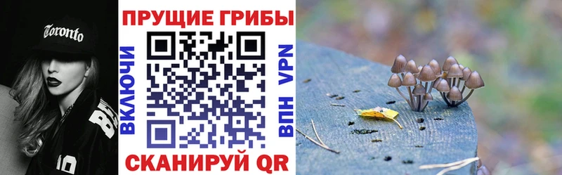 где найти наркотики  Кстово  это формула  Псилоцибиновые грибы прущие грибы 